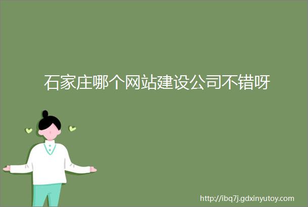 石家庄哪个网站建设公司不错呀