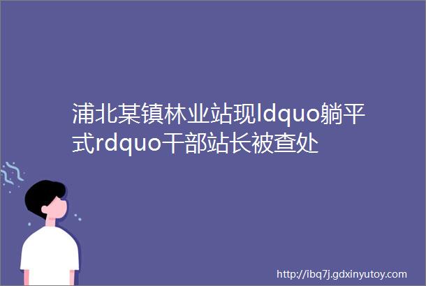 浦北某镇林业站现ldquo躺平式rdquo干部站长被查处