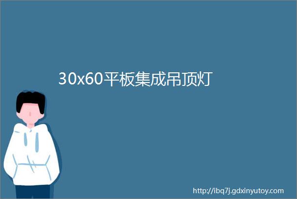 30x60平板集成吊顶灯