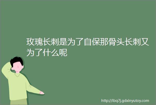 玫瑰长刺是为了自保那骨头长刺又为了什么呢