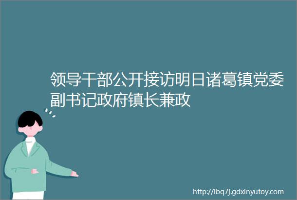 领导干部公开接访明日诸葛镇党委副书记政府镇长兼政